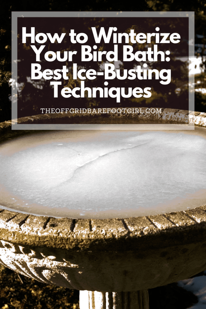 Image illustrates a Pinterest pin of a bird bath iced over demonstrating information on how to winterize your bird bath.