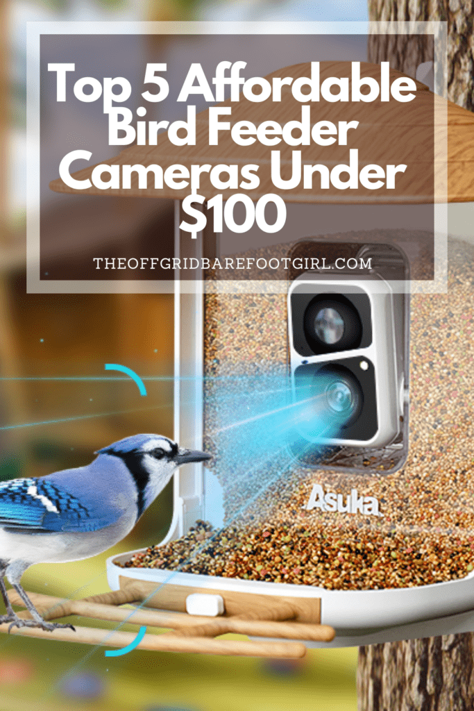 Image illustrates a Pinterest pin of a birdfeeder camera demonstrating information on the best bird feeder cameras under $100.