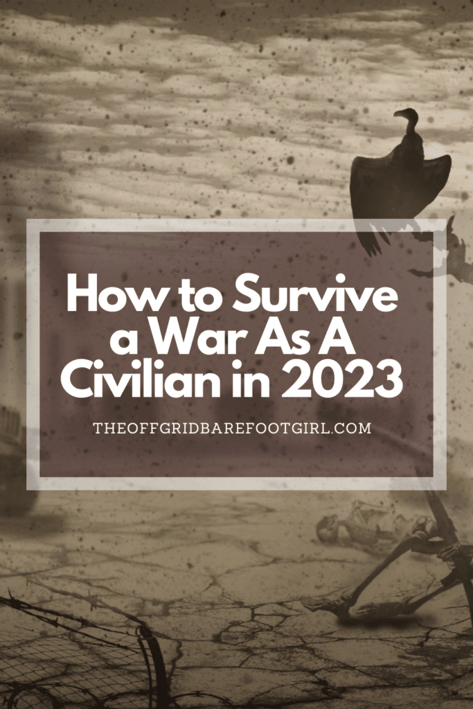 Image illustrates a Pinterest pin of a warzone demonstrating how to survive a war as a civilian.