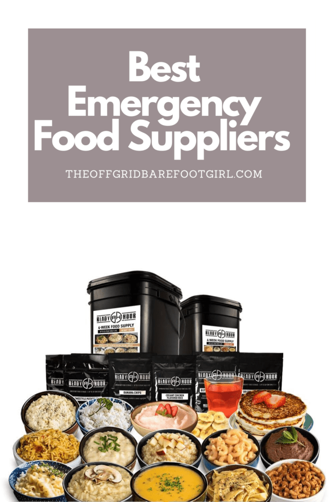 Image illustrates a Pinterest pin of emergency food. 