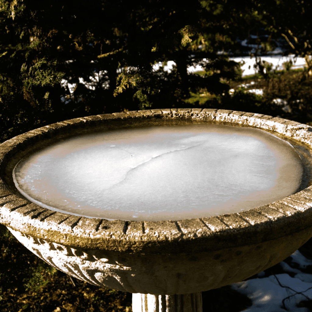 Image illustrates a bird bath iced over demonstrating information on how to winterize your bird bath.