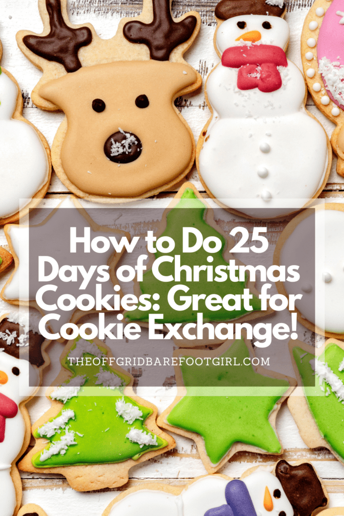 Image illustrates a Pinterest pin of Christmas cookies demonstrating how to do 25 Days of Christmas cookies.