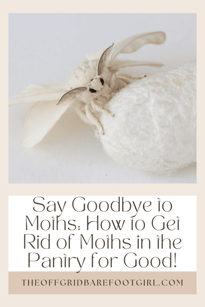 Image illustrates a Pinterest pin of a moth demonstrating how to get rid of moths in the pantry. 