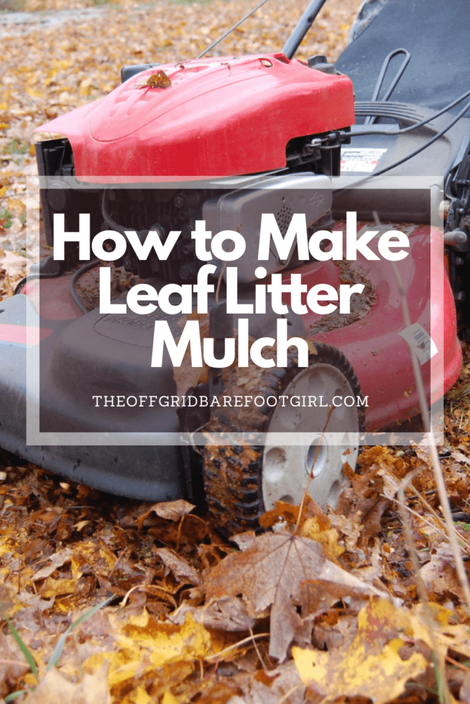 Image illustrates a Pinterest pin of shredding leaves with a lawn mower demonstrating information on how to make leaf litter mulch. 