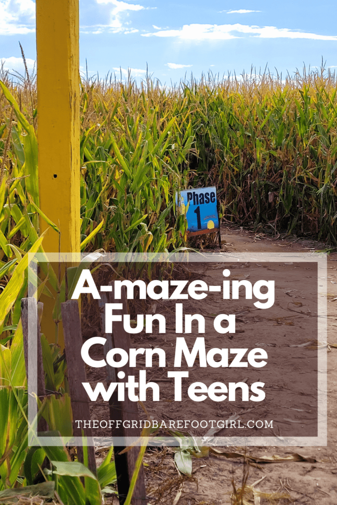 Image illustrates a Pinterest pin of a corn maze demonstrating how to have amazing fun in a corn maze with teens.