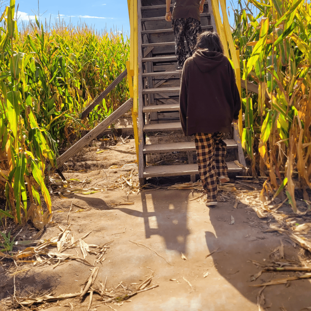 Image illustrates a corn maze watch tower.