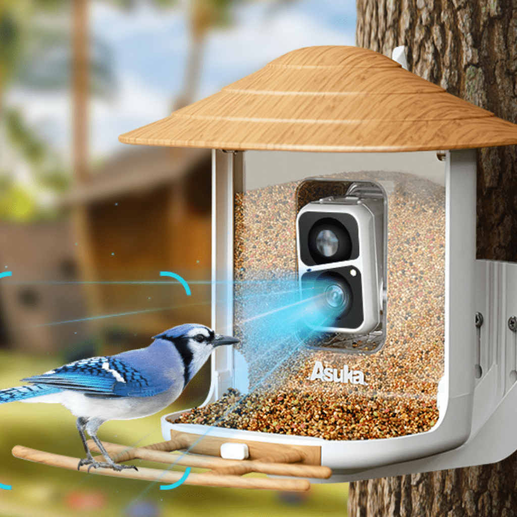 Image illustrates a bird feeder with camera.
