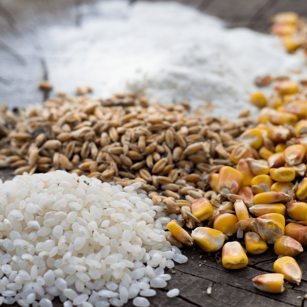 Image illustrates grains for how to stock a vegan pantry.