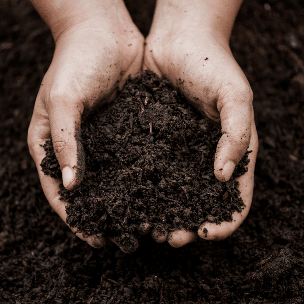 Image illustrates garden soil for how to plan a vegetable garden. 