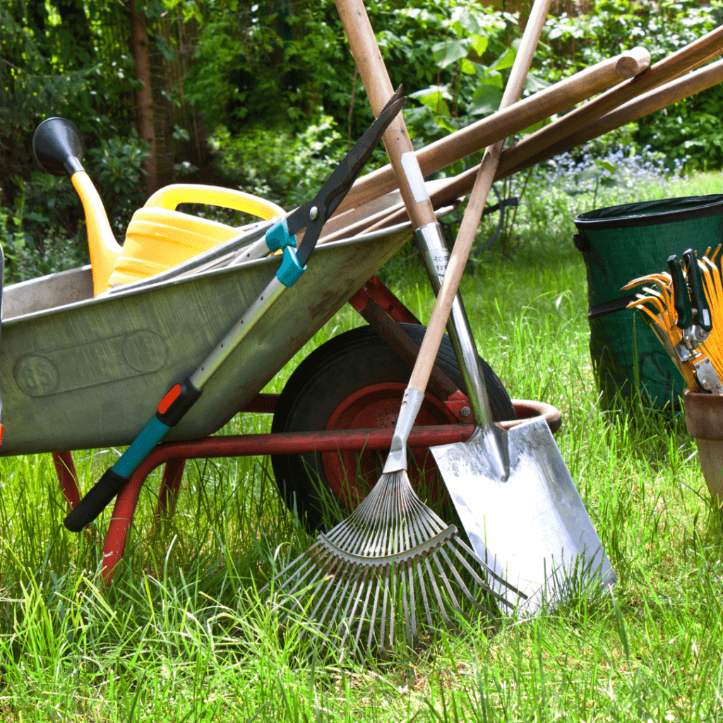 Image illustrates garden tools for how to plan a vegetable garden. 
