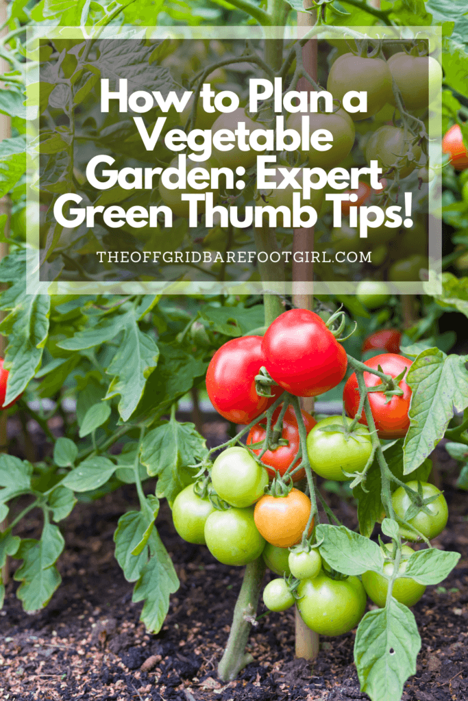 Image illustrates a Pinterest pin of a tomato garden for how to plan a vegetable garden. 