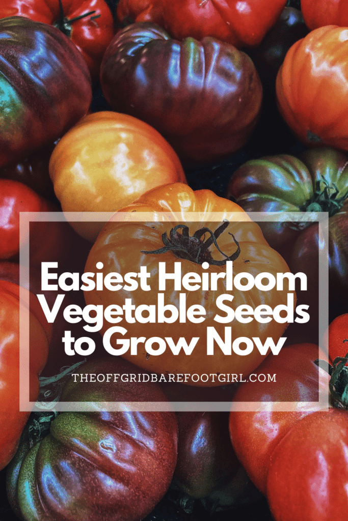 Image illustrates a Pinterest pin of heirloom tomatoes demonstrating information on the best heirloom vegetables seeds to grow. 