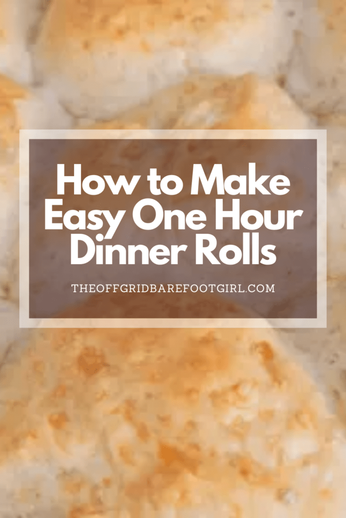 Image illustrates a Pinterest pin bread rolls for a one hour dinner rolls recipe.