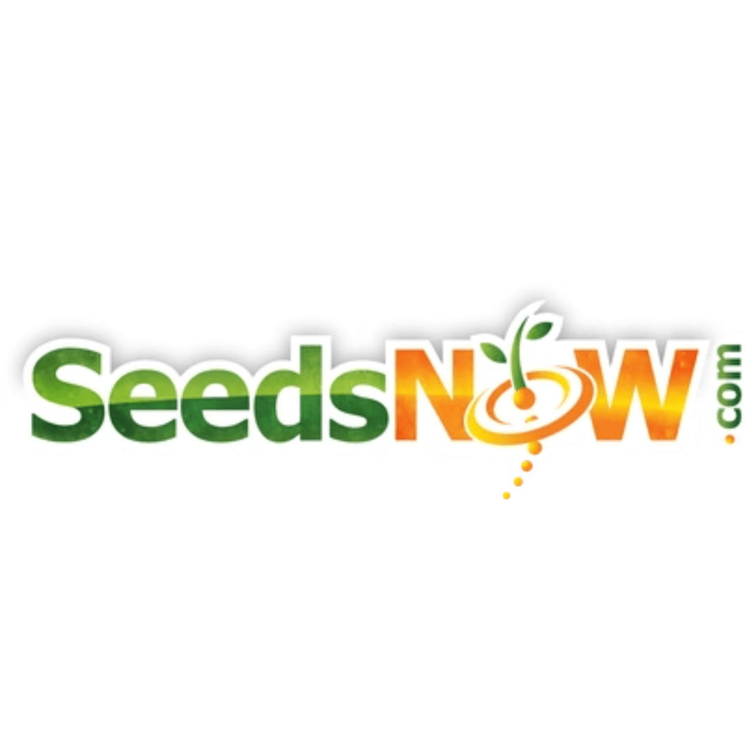 Image illustrates words that say Seeds Now .com demonstrating information on buying garden seeds at a seed shop.
