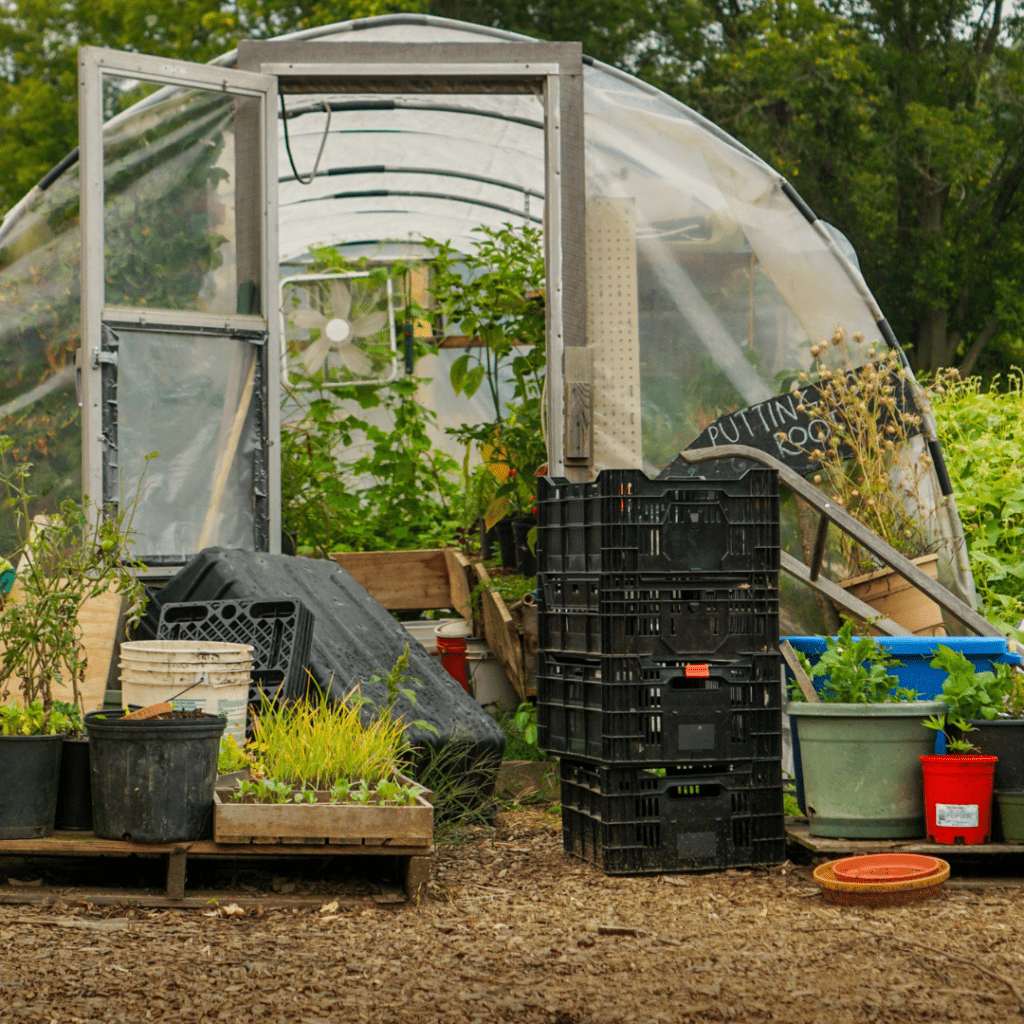 Image illustrates a hoop house getting ready for winter demonstrating information on how to winterize your vegetable garden.