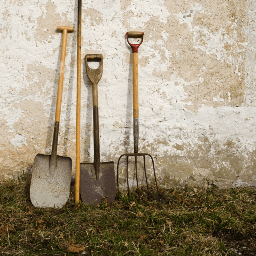 Image illustrates gardens tools demonstrating information on how to winterize your vegetable garden.
