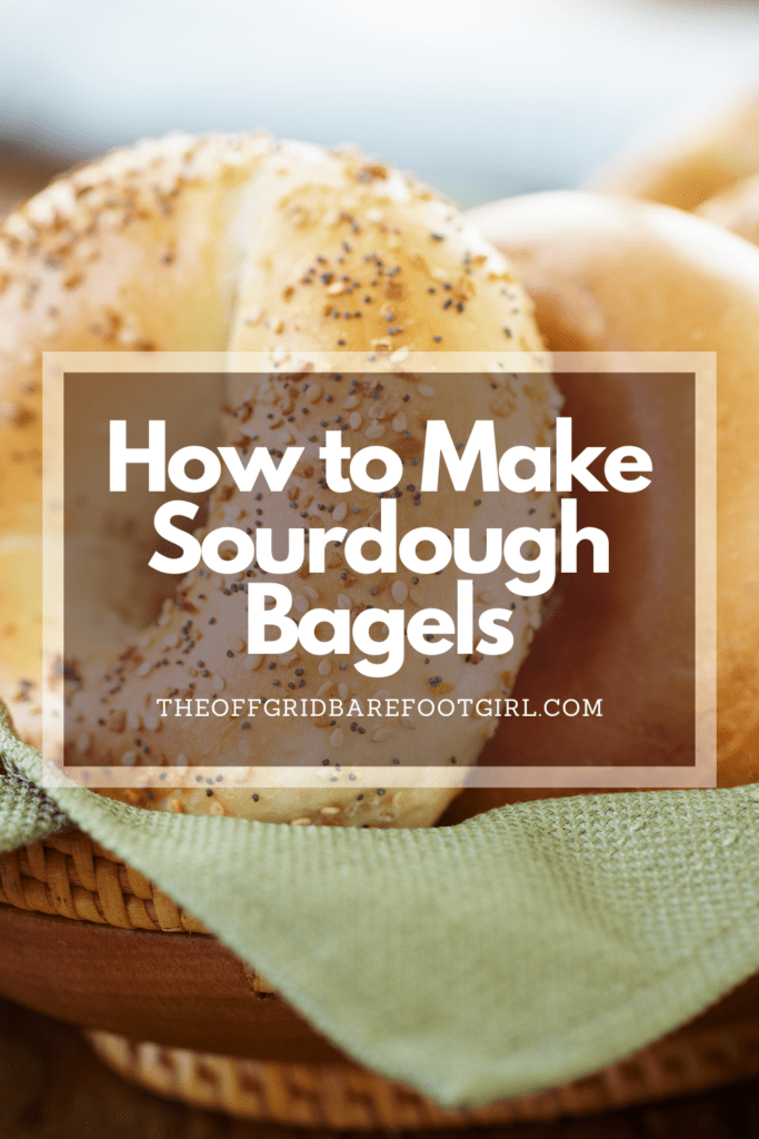 Image illustrates a Pinterest pin of bagels for information of how to make sourdough bagels. 