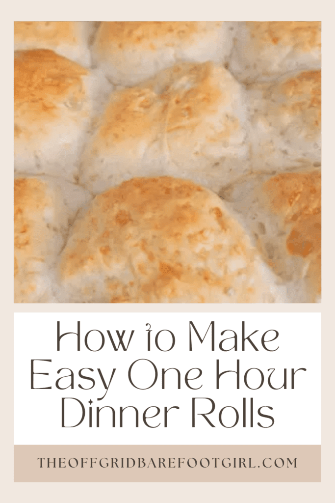 Image illustrates a Pinterest pin bread rolls for a one hour dinner rolls recipe.
