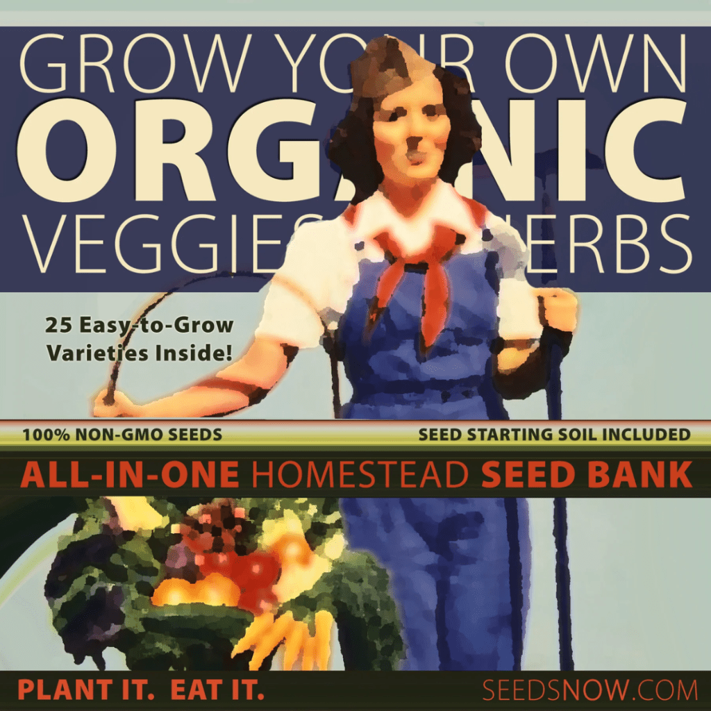 Image illustrates information for buying a homestead seed bank.