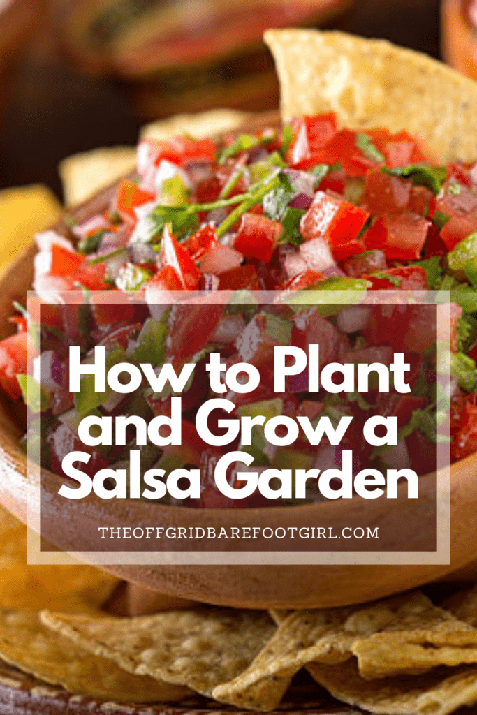 Image illustrates a dish of salsa demonstrating information about how to plant and grow a salsa garden. 