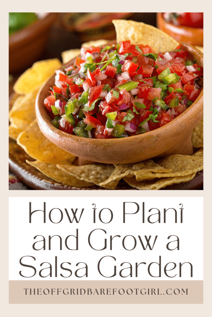 Image illustrates a dish of salsa demonstrating information about how to plant and grow a salsa garden. 
