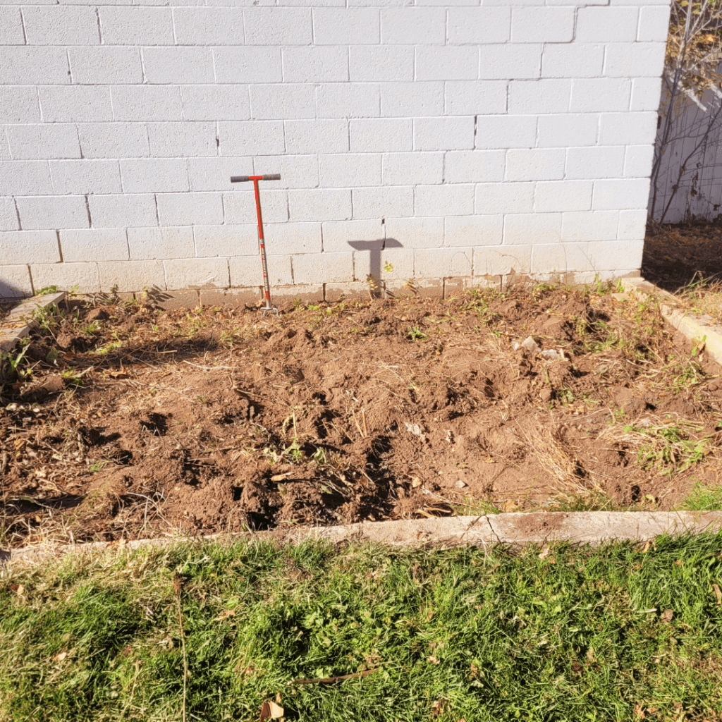 Image illustrates a harvested garden at the end of season with remaining weeds.