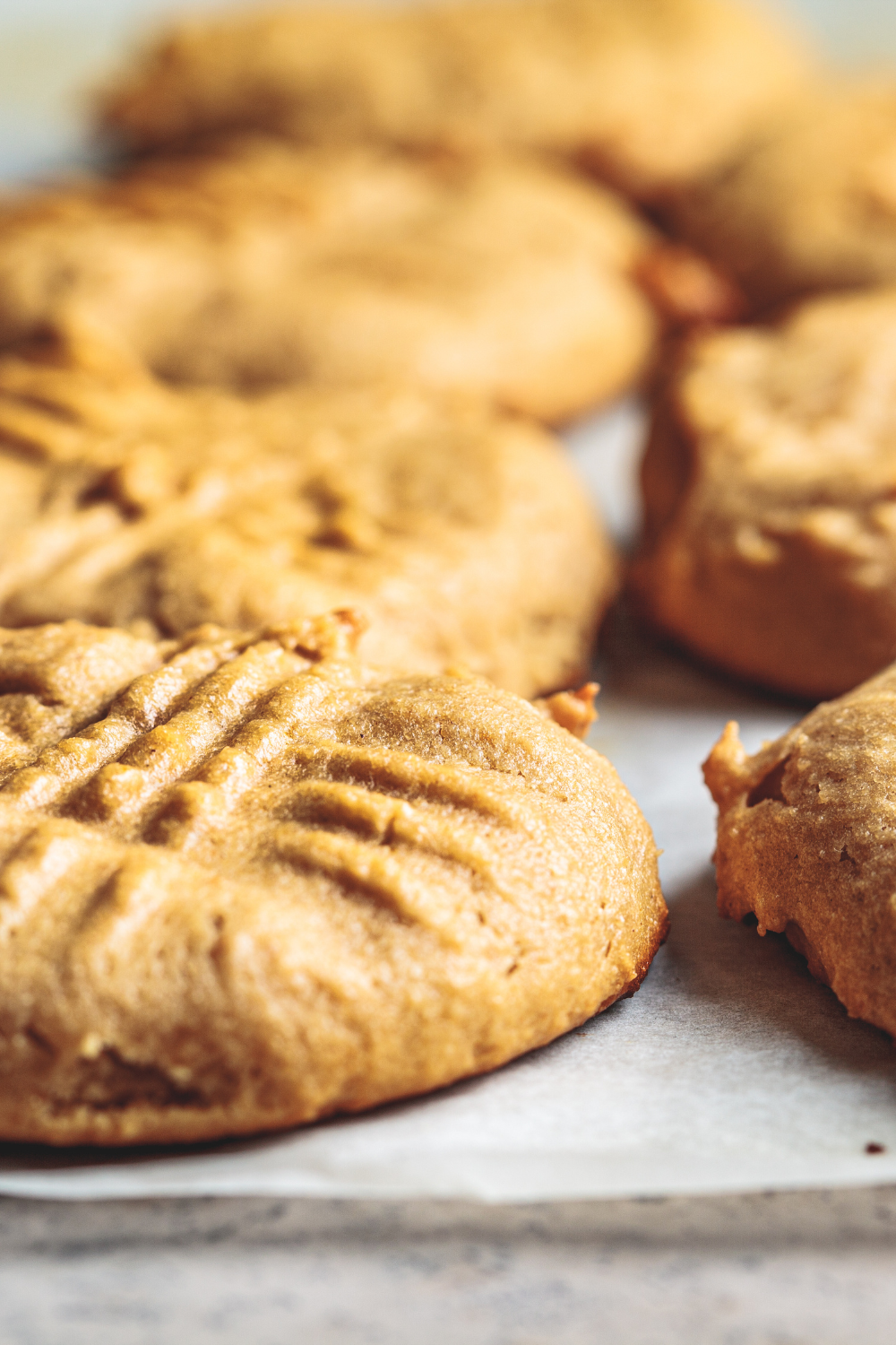 Image illustrates peanut butter cookies.