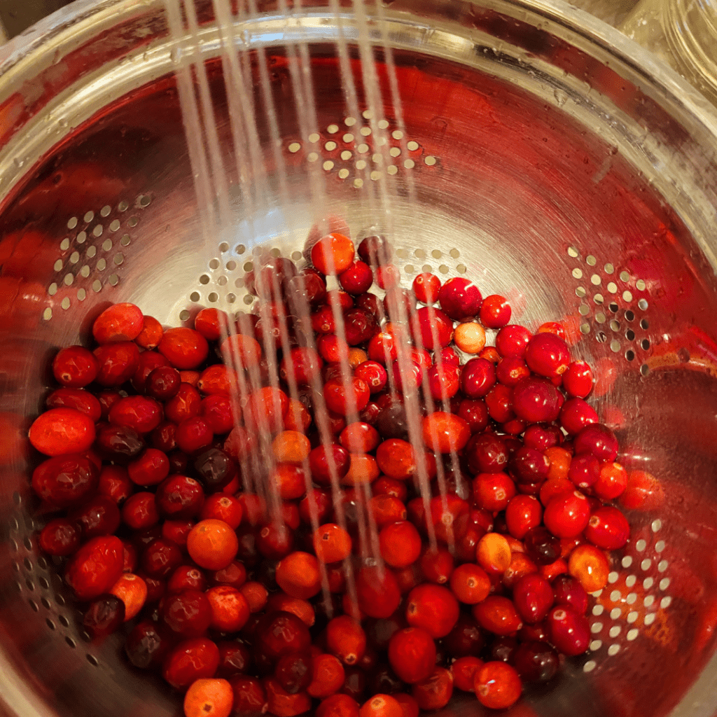 Image illustrates fresh cranberries being washed for a cranberry merry jam recipe.