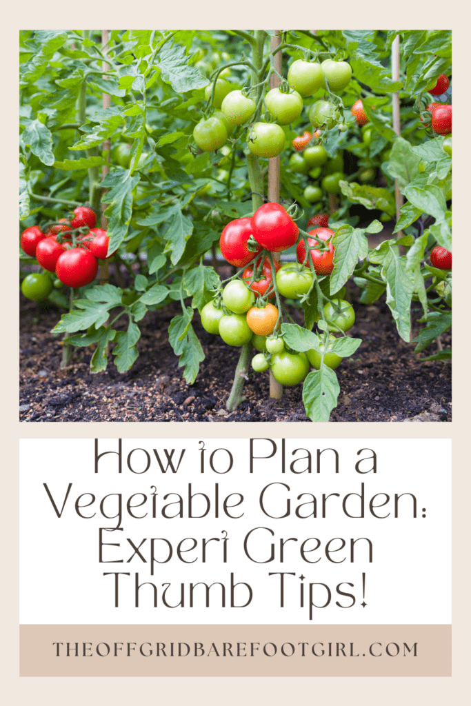 Image illustrates a Pinterest pin of a tomato garden for how to plan a vegetable garden. 