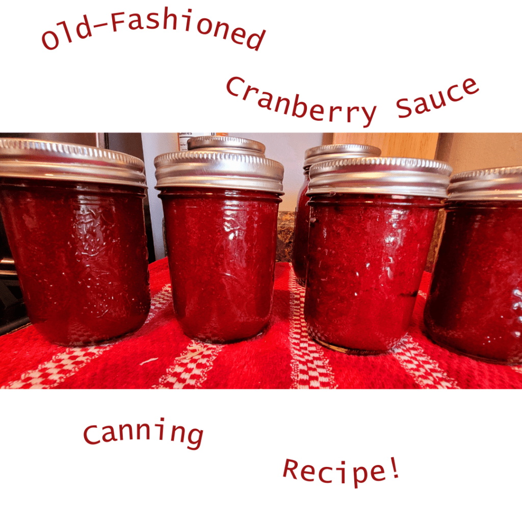 Image illustrates old-fashioned cranberry sauce in jars.