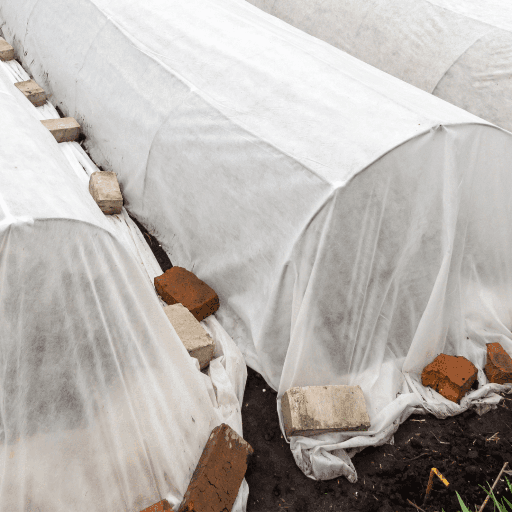 Image illustrates a garden protected with row covers demonstrating information on how to winterize your vegetable garden.