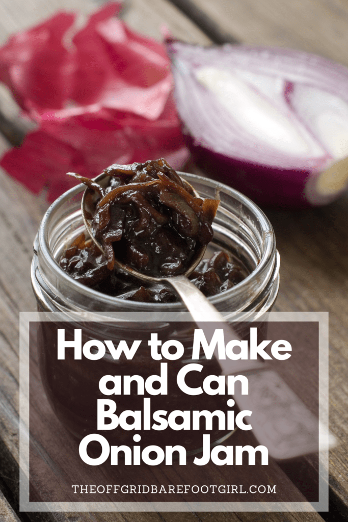 Image illustrates a Pinterest pin of onion jam demonstrating a balsamic onion jam recipe.