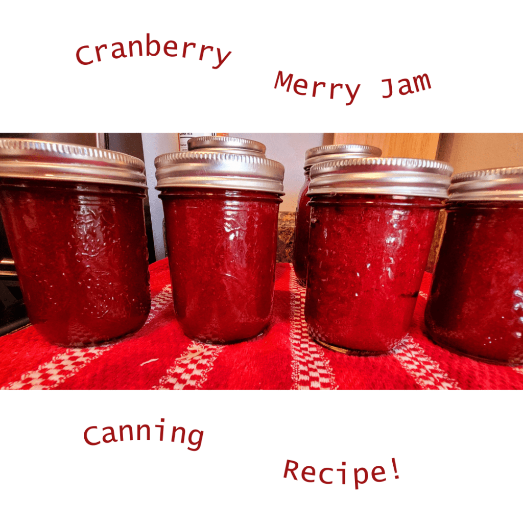 Image illustrates cranberry jam. 