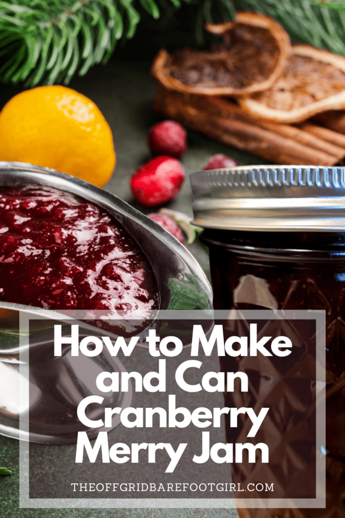 Image illustrates a Pinterest pin of Christmas cranberry jam for a cranberry merry jam recipe.
