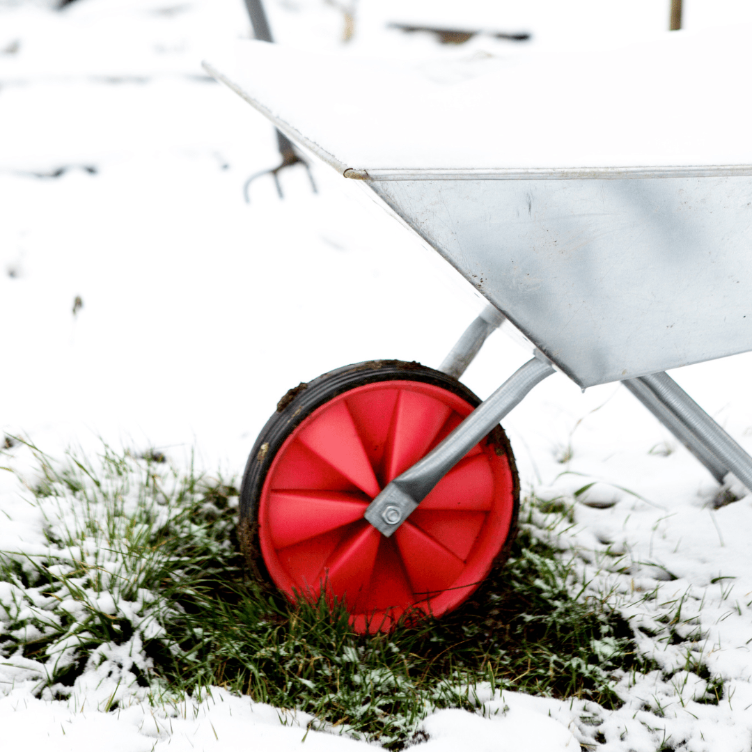 Image illustrates a wheel barrow and pitch fork demonstrating how to winterize your vegetable garden.