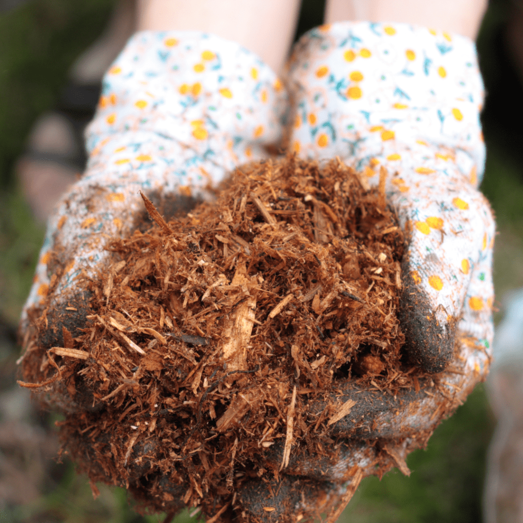 Image illustrates a handful of mulch.
