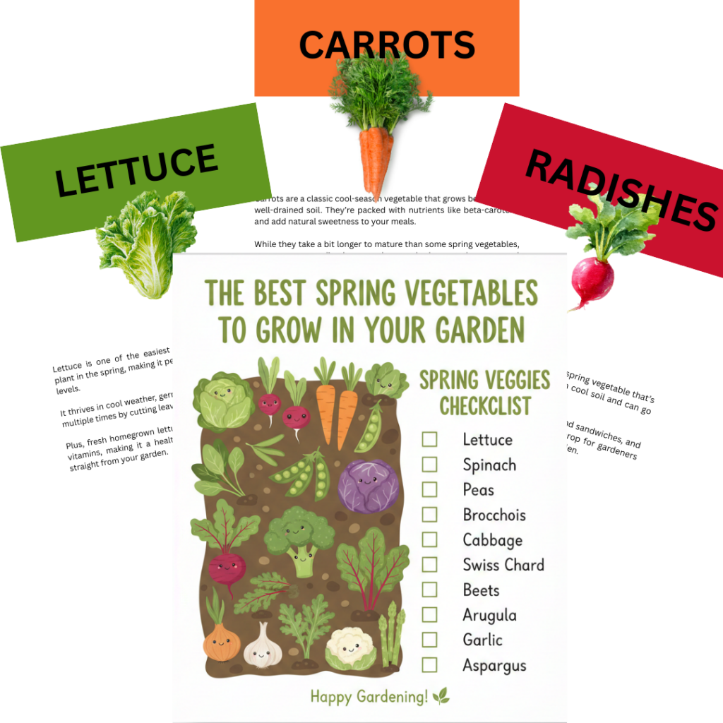Image illustrates the best spring vegetables to grow in your garden free printable from The Off Grid Barefoot Girl.