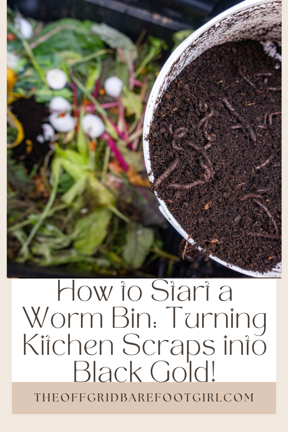 Image illustrates a Pinterest pin for a worm bin for information on how to start a worm bin. 