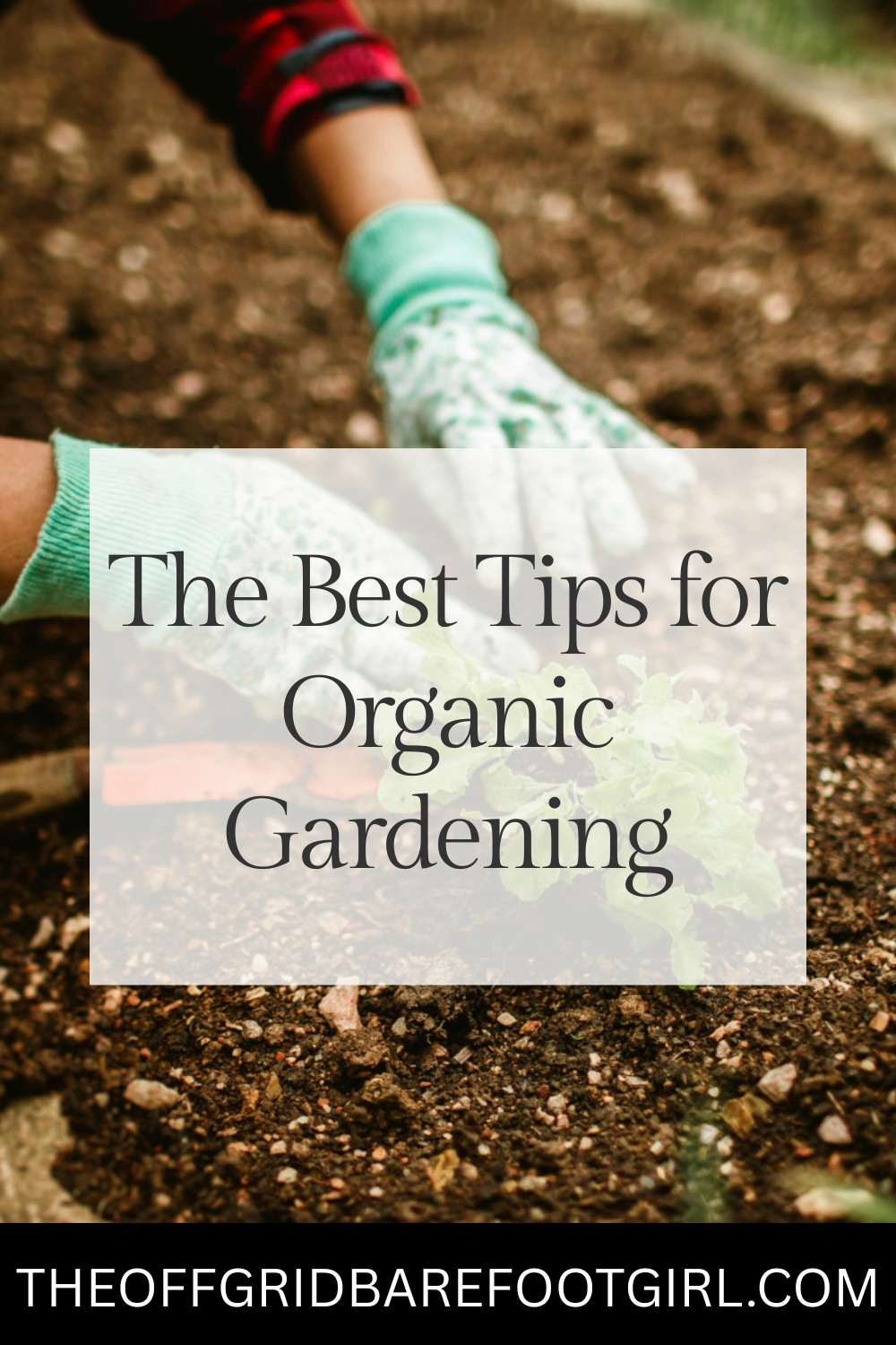Image illustrates a Pinterest pin of a vegetable garden for the best tips for organic gardening.