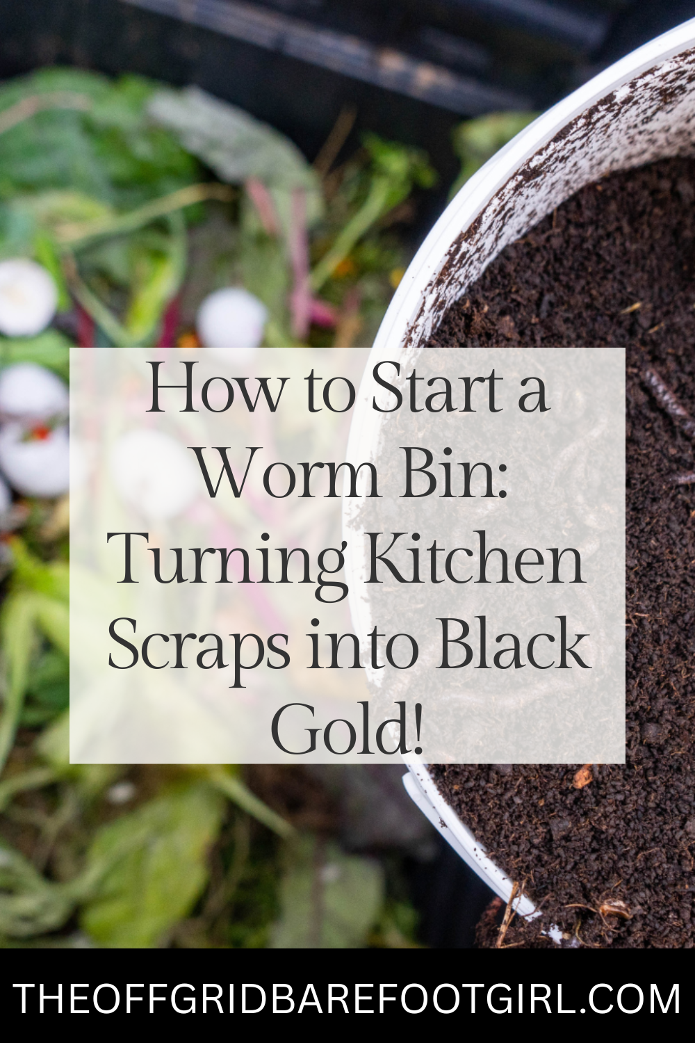 Image illustrates a Pinterest pin for a worm bin for information on how to start a worm bin. 