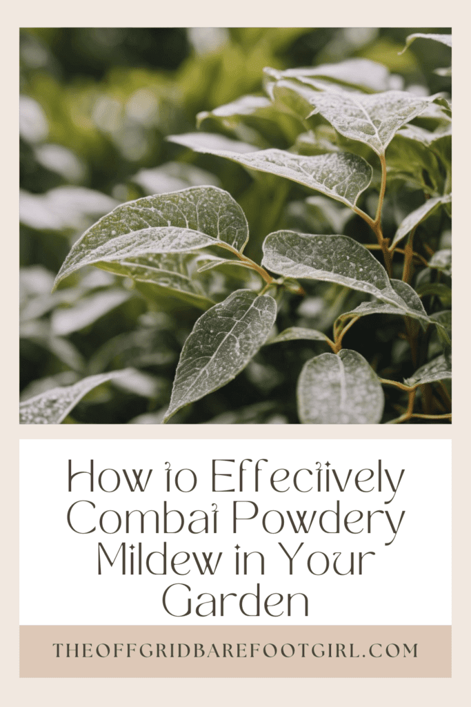 Image illustrates a Pinterest pin of a plant with white powdery mildew demonstrating how to get rid of powdery mildew in your garden. 