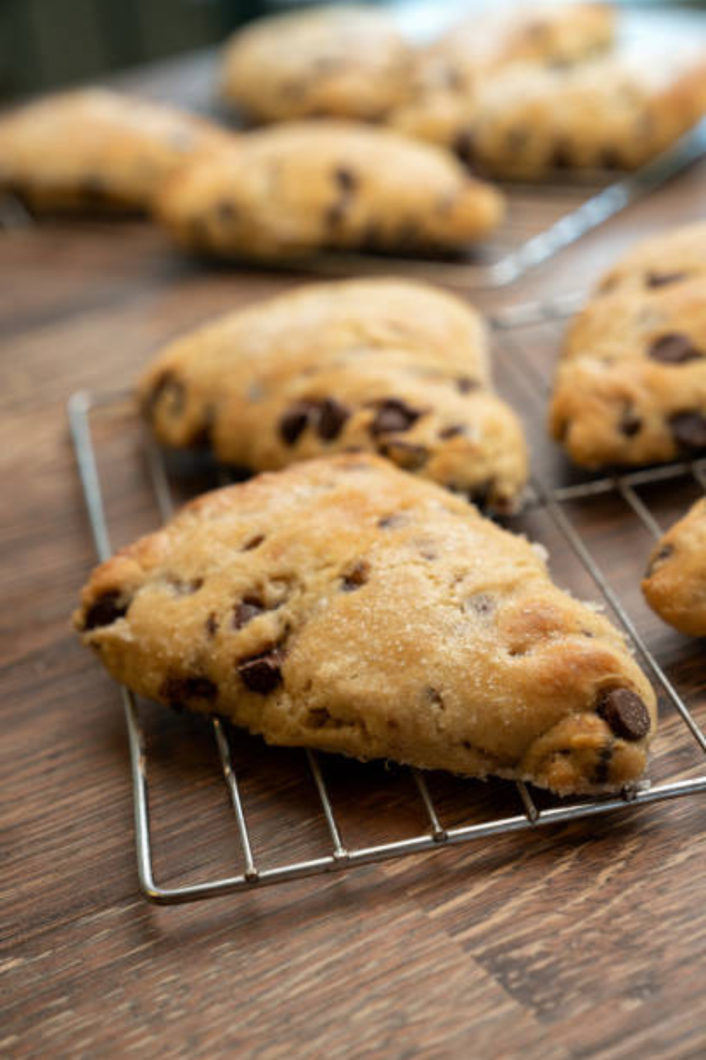 Image illustrates chocolate chip easy sourdough discard scones. 