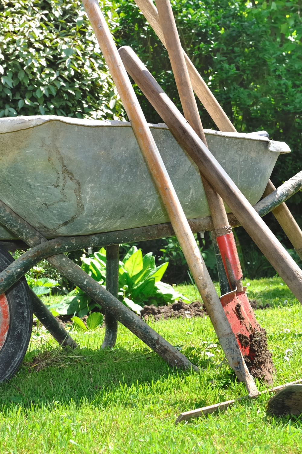 Image illustrates tools for organic gardening.
