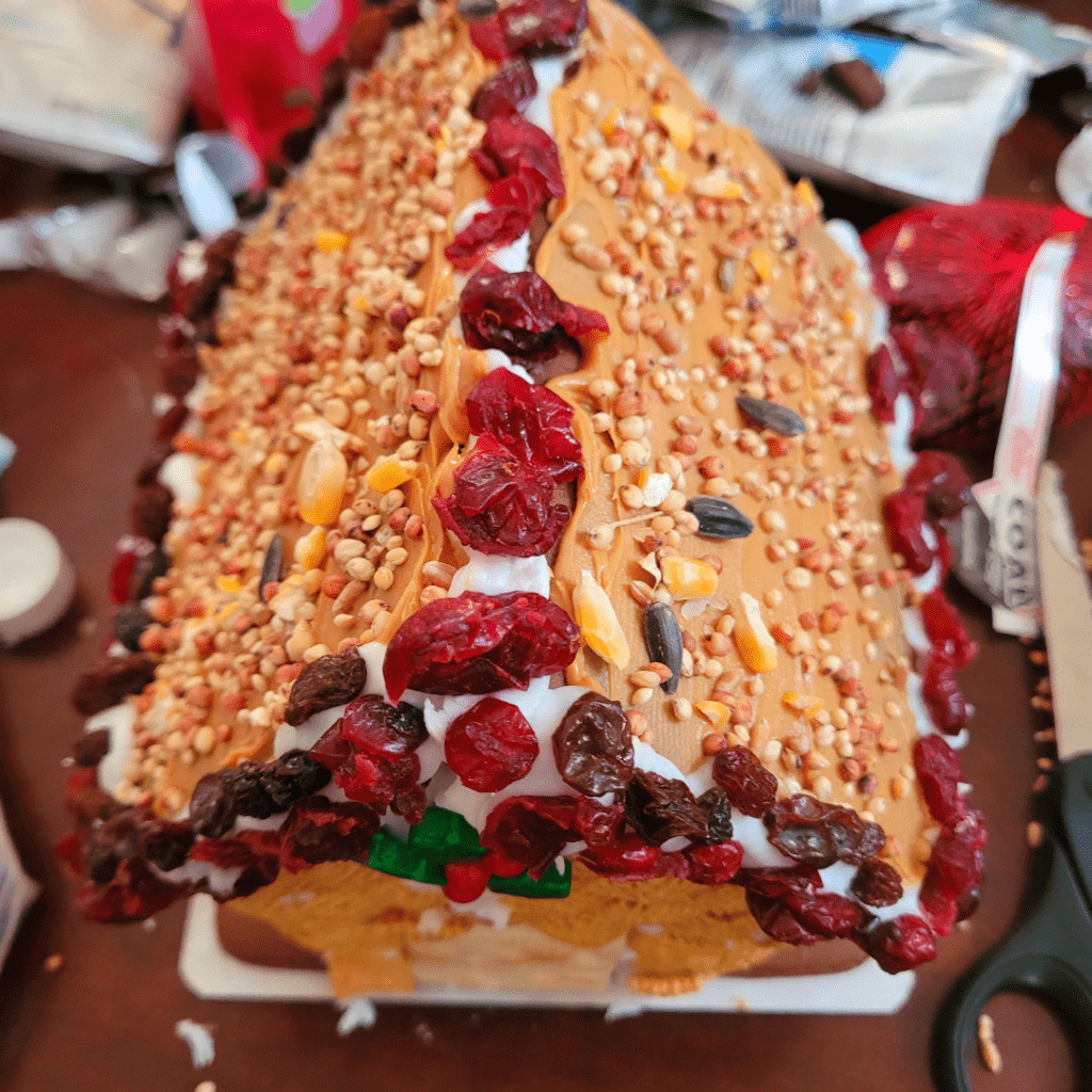 Image illustrates a birdfeeder gingerbread house with peanut butter, birdseeds, and dried fruits.