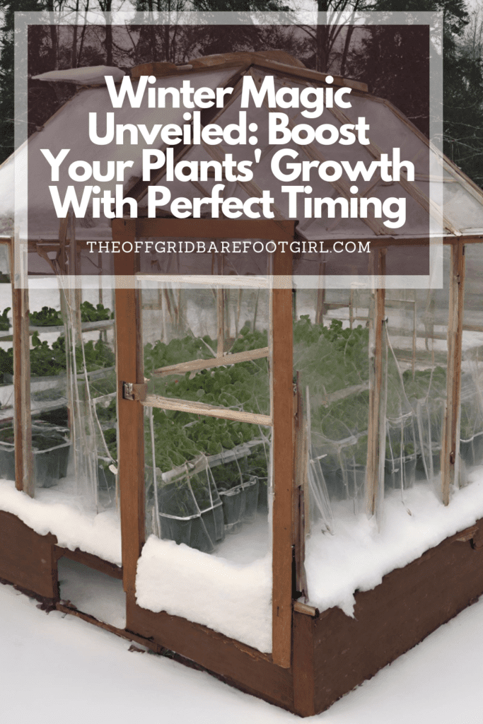Image illustrates a Pinterest pin of a mini greenhouse to boost your plants' growth.