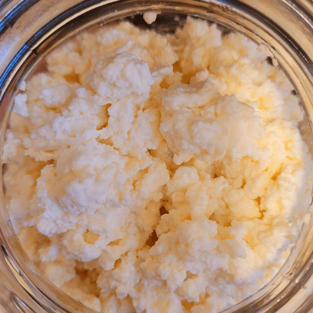 Image illustrates ricotta cheese after draining curdled whole milk demonstrating a recipe for easy homemade ricotta cheese. 
