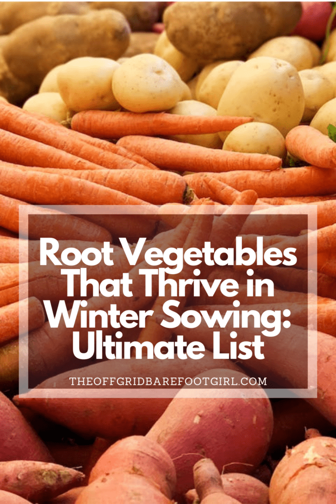 Image illustrates a Pinterest post of root vegetables for winter sowing. 