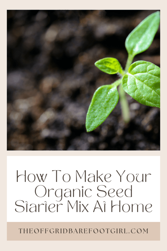 Image illustrates a Pinterest pin of a seedling in soil demonstrating information about organic seed starting mix. 