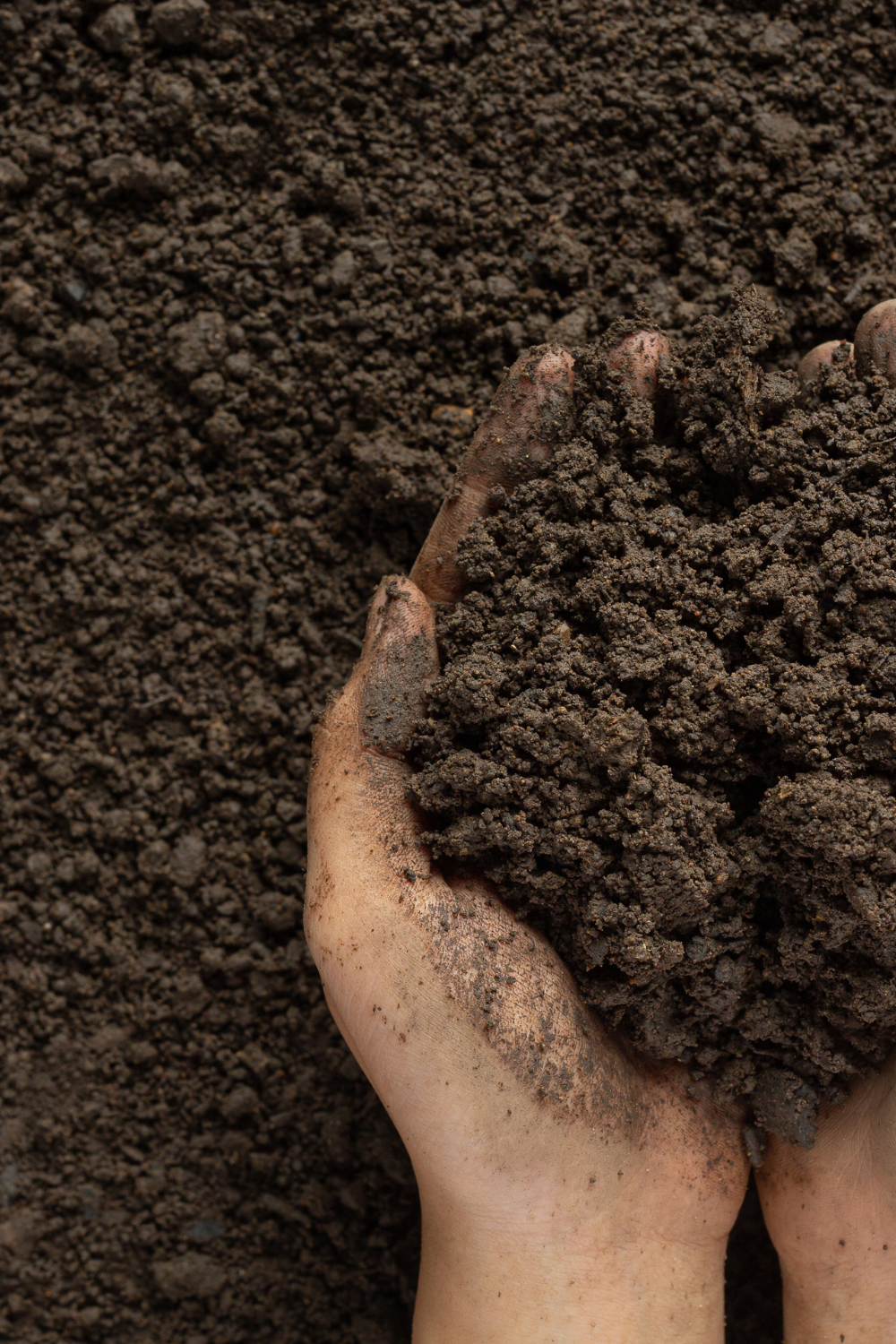 Image illustrates the best soil for winter sowing.