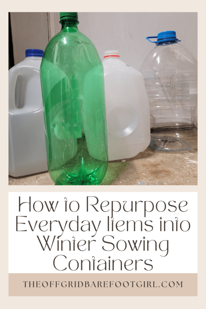 Image illustrates a Pinterest pin of clear recycled jugs and bottles for winter sowing containers. 